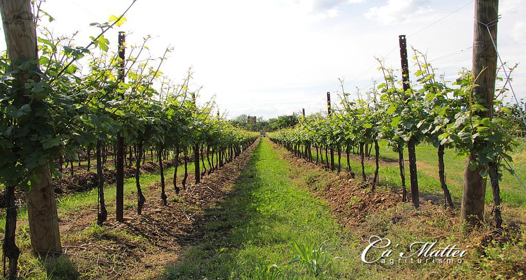 Agriturismo Ca'Mattei Pescantina Exterior foto