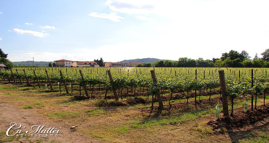 Agriturismo Ca'Mattei Pescantina Exterior foto